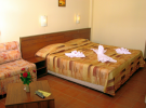 Hotel Plamena Palace****